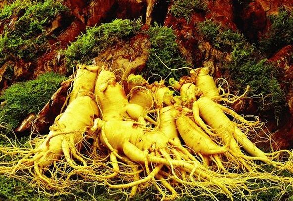 Droguri naturale pentru potență