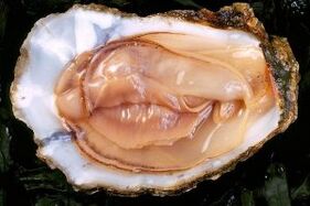 Oyster este un puternic stimulent al dorinței sexuale